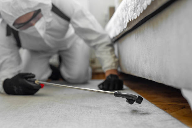 Professional Bed Bug Control technician working in St. Peter, WI
