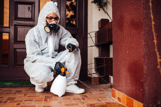 Reliable Bed Bug Control contractor in St. Peter, WI by Nex Pest Control